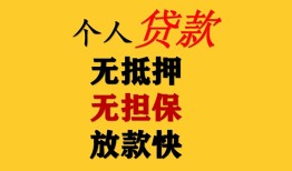 东莞借钱信用贷款办理-东莞借钱身份证贷款分期-东莞借钱小额私人借贷